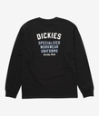 Men's Heavy Jersey Graphic Tee LS