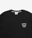 Men's Heavy Jersey Graphic Tee LS