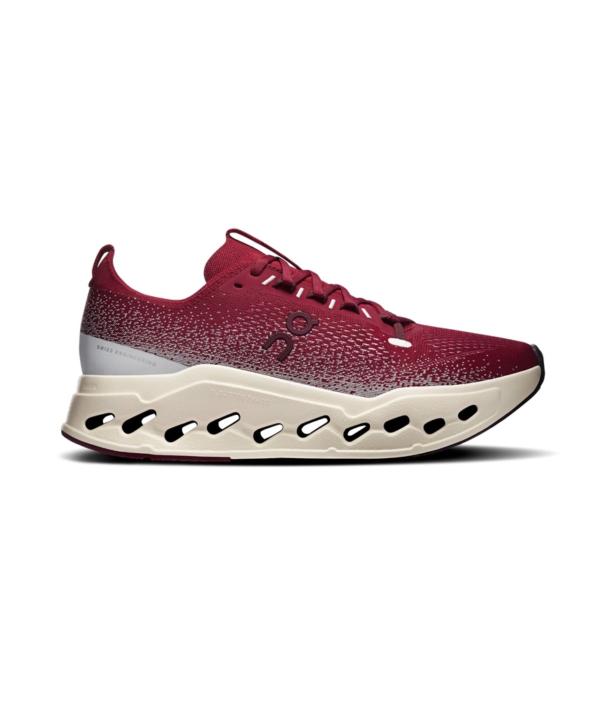 Shoes Cloudsurfer Max Men